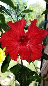 Messenger_creation_173515D7-49AA-4145-9DF8-A1DA3BB4205D