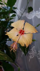 Messenger_creation_3D6F615F-0FE7-4915-9181-6B7B347A27D0