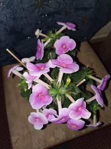 Messenger_creation_54CCF63B-6446-4286-8094-D9AF2E64AF0F