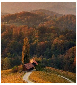 ♡ Oᥴtobᥱr 15 » „You re ever welcome with me any time you like, let s drive to the countryside, leave; behind some green-eyed look-a-likes.” ║ https://www.youtube.com/watch?v=rOukoIHP3m0
