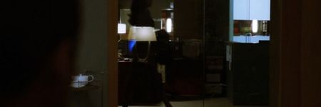 Dintr-o clipă în alta, uşa din sticlă se deschide şi fără ca măcar să bată, o siluetă suplă pătrunde; în interior fără a aştepta permisiunea. Amir o recunoscu imediat, căci doar o singură persoană din firmă intra în biroul lui astfel.
