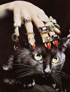 d1b1b34a3ceb8d2c285c11e423d739a6