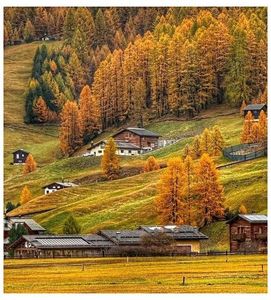 ♡ Oᥴtobᥱr 17 » „You can t lie to yourself after loving something true, and I ve never loved a soul q; the way that I loved you.” ║ https://www.youtube.com/watch?v=ZVe-QimVEWE
