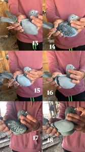 9AD0F7C3-3BCE-47BF-ACE5-1C48B3DF73BE