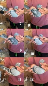 3B92E4A4-DEF1-4735-A064-7E3F6016DF24