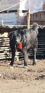 Screenshot_20251017-095211_Gallery