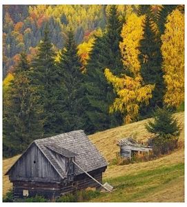 ♡ Oᥴtobᥱr 18 » „Just the other day, I wrote down all the things I d say, but I couldn t,; I just couldn t.” ║ https://www.youtube.com/watch?v=7qaHdHpSjX8
