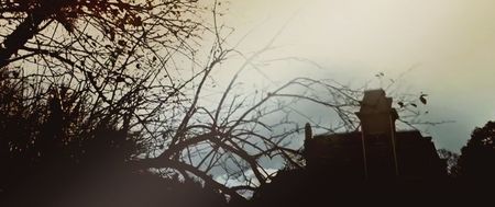 By the time the cops got involved, no one could agree on the truth.