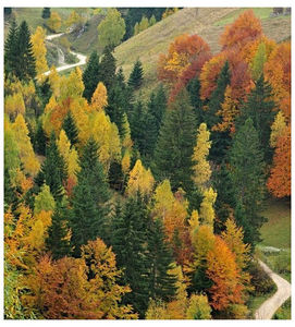 ♡ Oᥴtobᥱr 19 » „So come on, let it go.. just let it be. Why dont you be you, And I ll be me?; Everything that s broke leave it to the breeze..” ║ https://www.youtube.com/watch?v=GsPq9mzFNGY
