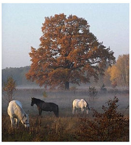 ♡ Oᥴtobᥱr 20 » „I ve got feelings for you, baby.. do you still feel the same? For the first; time I laid my eyes on you, I felt joy of living.” ║ https://www.youtube.com/watch?v=6FwmM93jgUo
