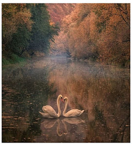 ♡ Oᥴtobᥱr 21 » „Ma se viene stasera, tu non fare più la scema, e se ti batte il cuore,; non lasciarglielo scappare.” ║ https://www.youtube.com/watch?v=evsqv3Q2CVg
