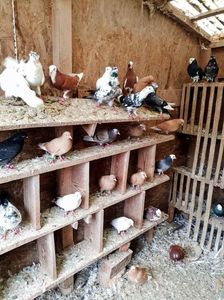 WhatsApp Image 2025-10-25 at 11.04.17_9a98ebe5