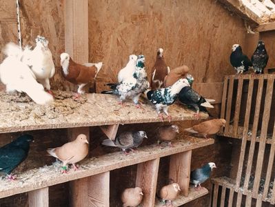 WhatsApp Image 2025-10-25 at 11.04.19_d10a63d1