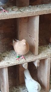 WhatsApp Image 2025-10-25 at 11.04.44_439179f4