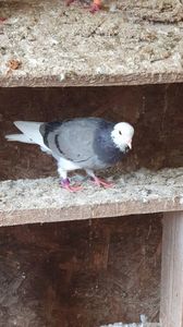 WhatsApp Image 2025-10-25 at 11.04.44_e5b9316a