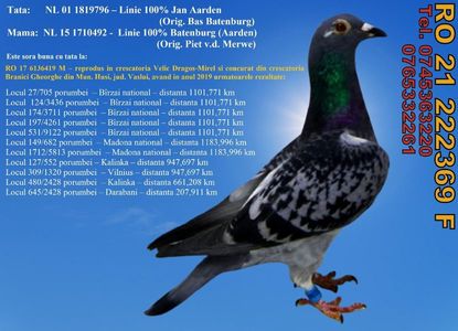 RO 21 222369 F Pret FIX 250 lei + transportul