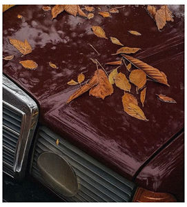 ♡ Oᥴtobᥱr 25 »