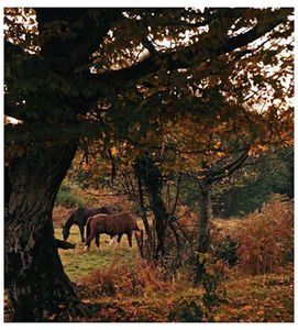 ♡ Oᥴtobᥱr 28 »