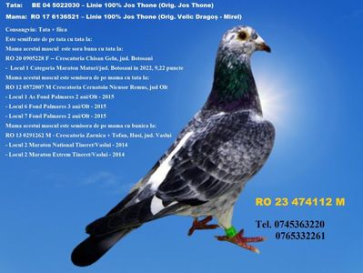 RO 23 474112 M Pret 400 Lei + transportul