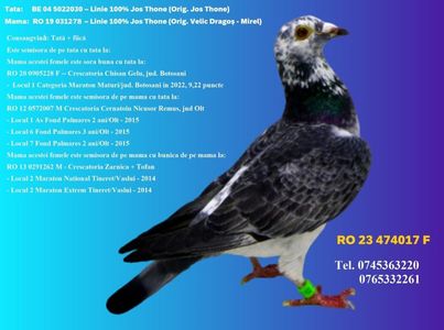 RO 23 474017 F Pret FIX 350 lei + transportul