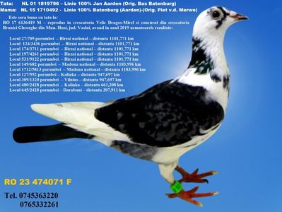 RO 23 474071 F Pret FIX 250 lei + transportul