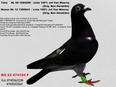 RO 23 474104 F REZERVATA Iacobescu Viorel Mh Pret FIX 500 lei + transportul