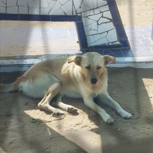 ♡ Day 179 ; 11.05.2025; ❤️❤️
