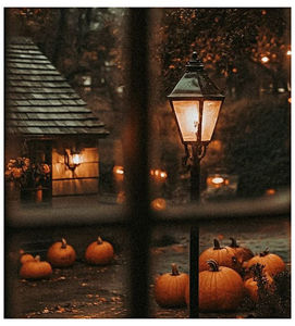 ♡ ɴᴏᴠᴇᴍʙᴇʀ 2 »