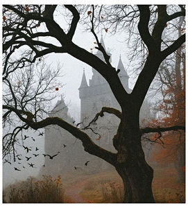 ♡ ɴᴏᴠᴇᴍʙᴇʀ 3 »