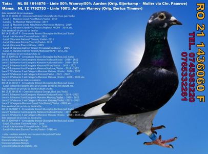 RO 21 1436060 F REZERVATA Iacobescu Viorel MH  Pret FIX 350 Lei + transportul