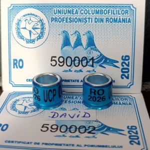 2026- UCP+ talon....-1,5 lei