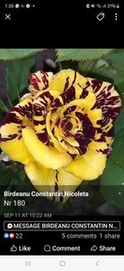 att.09kxp9CvL8Vu94yEqzjE282dr0sraCHEkYrL3Ir-3fw