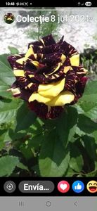 att.aNxZcG3CwgQ9qZ8fKLVUz-_1yE1ACr1yjFLSm0ZDmAA