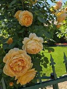 att.UkuAOitpHeAF5Uk0jom-dL8RRYHNurD72sgP22HnFos