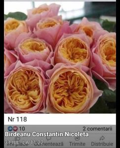 067a76f6a329bcfa3dea9f4a75f3e07a