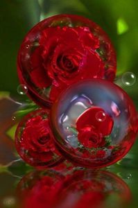 Am Vrut Să Fiu O Floare Rară!