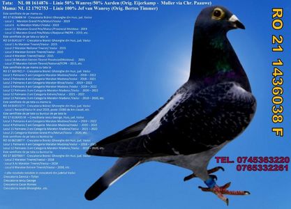 RO 21 1436038 F  Pret FIX 350 lei + transportul