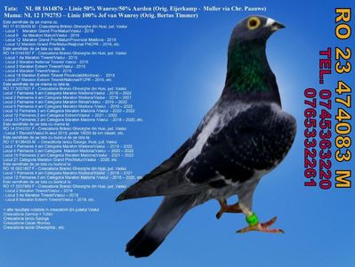 RO 23 474083 M Pret 500 Lei + transportul