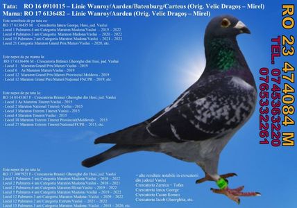 RO 23 474084 M  Pret 400 Lei + transportul