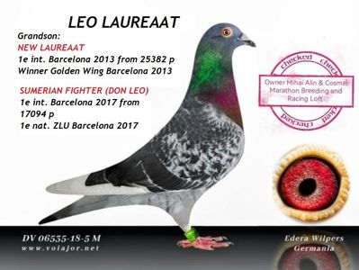 LEO LAUREAAT; NEW LAUREAAT x SUMERIAN FIGHTER
