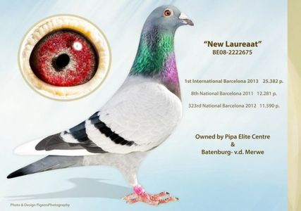 be08-2222675_new_laureaat_batenburg_vd_merwe_1