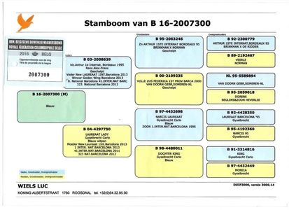 B16-2007300 M Blauw Luc Wiels ( Broer New Laureaat )_1