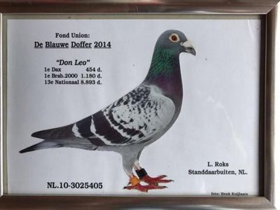 19756685_1441904529207803_7534318589756324560_n (1)