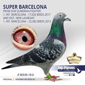 BROTHER LEO LAUREAAT