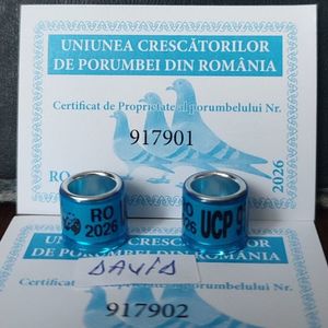 2026- UCP+ talon