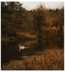 ♡ ɴᴏᴠᴇᴍʙᴇʀ 9 »