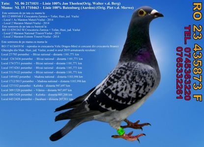 RO 23 435873 F  Pret 350 lei + transportul