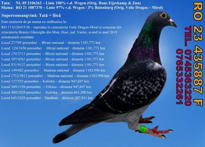 RO 23 435887 F Pret 400 lei + transportul