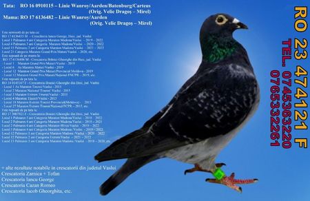 RO 23 474121 F Pret 400 lei + transportul