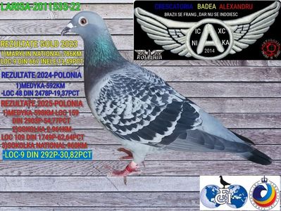 1-LARISA 2011535-22